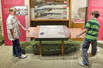 Photo of students exploring the Last West exhibit gallery.