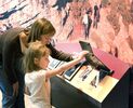Young child looking at display in permanent exhibit gallery.